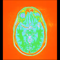 64162533542198579898252916190583583845604629893829087458582976359319994368001