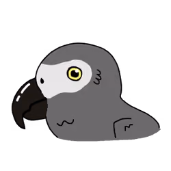 ヨウム
