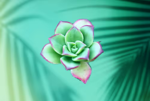 Item #8607677958191038044004830040679912821884152676576415147527512800165414043649 Media