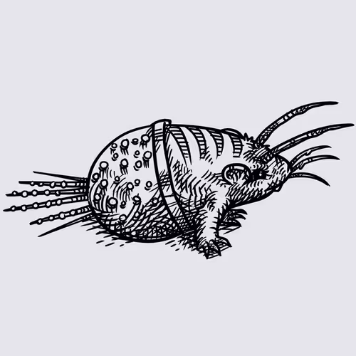 Item #57319268697671272436603797110060872632708398562227121989192562705269467906049 Media