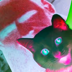 4747115153065902387790593868107453782499677024781155622119190156627683573761