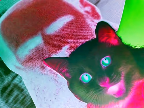 Item #4747115153065902387790593868107453782499677024781155622119190156627683573761 Media