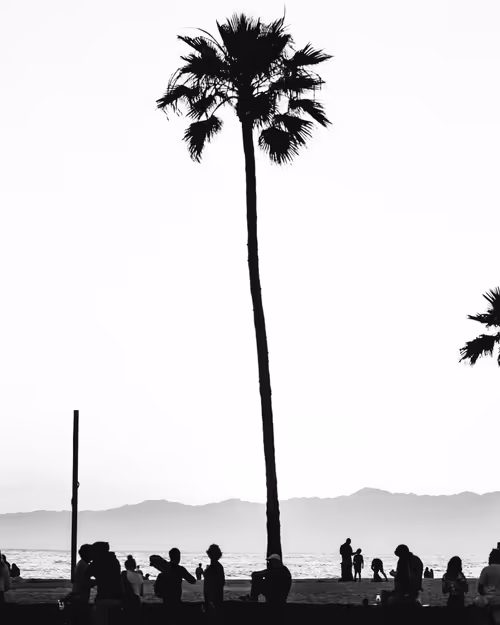 Item #36803766187647196690517014366493952358167166362150973793678746434515534610433 Media