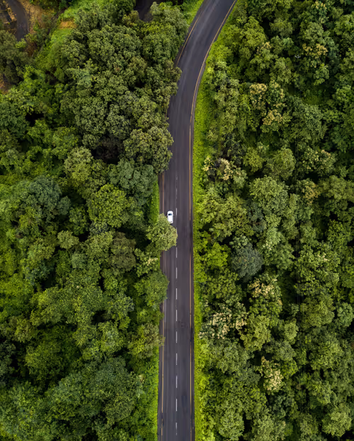 Item #44131874298875972966188340329792406803890393372749528843369689109333991751681 Media