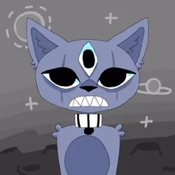 Cat #9