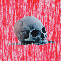 Red skull
