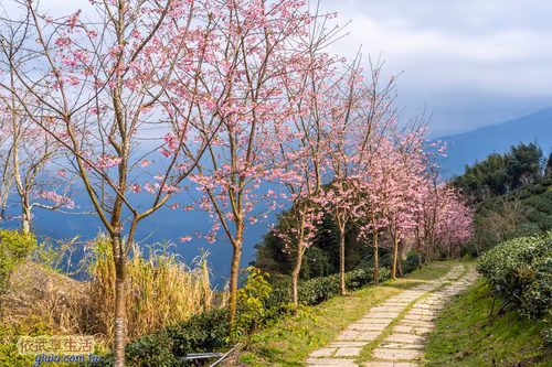 Item #100744422725674417057824683306763013505668843176654858816283483982410048077825 Media