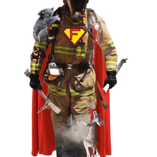 Untitled Collection #55695930