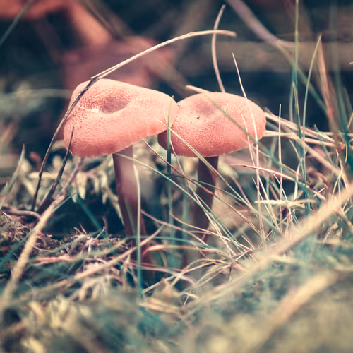 Untitled Collection #176612408