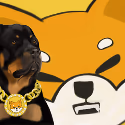 91689843230696245992439202350247333357783521144544667404119791352725257584641