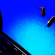78423063518054110980611647678713879665006433094398741925509282753182886264833