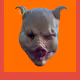 43611548141407519879911017181650845324484260882909911939077050446499100491777