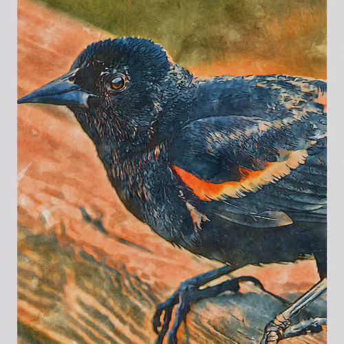 55704534837685659622621715309832868758345944585427688586690141422360924782593