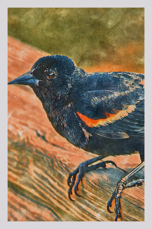 Item #55704534837685659622621715309832868758345944585427688586690141422360924782593 Media