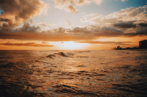 Kelsey Smith Editions - SOLD OUT x1