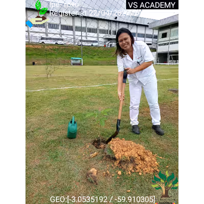 Item #8500196597889277390194123329501889087166328879864934763448348821517290700801 Media