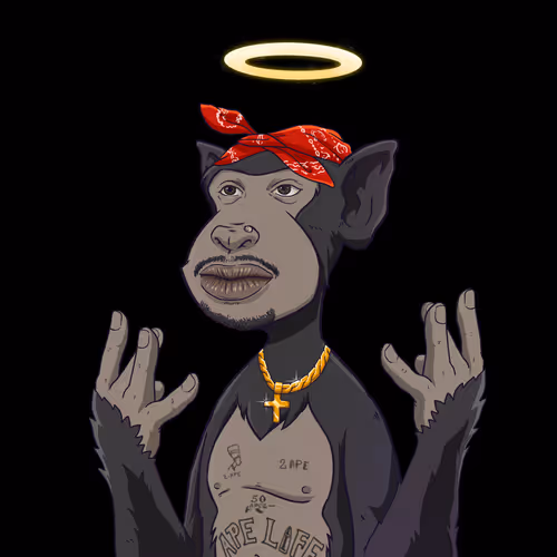 Item #13405938186277027285756540443181692370750924871705069534808005303469600669697 Media