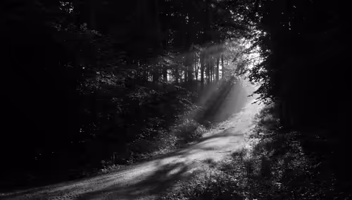 Item #40160686583094733528677484039903516258611509642019211679321071323129770409985 Media