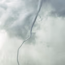 Roping Out