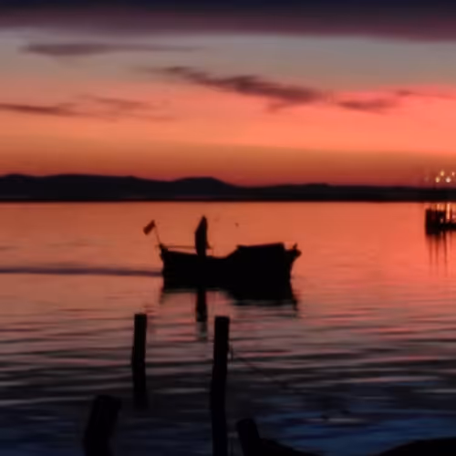 CaptainLutz Collection