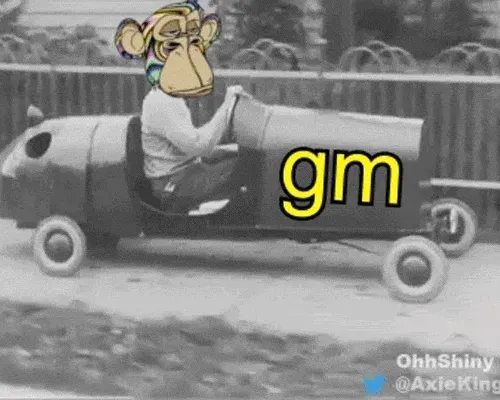 OhhShinyAxieKing Collection