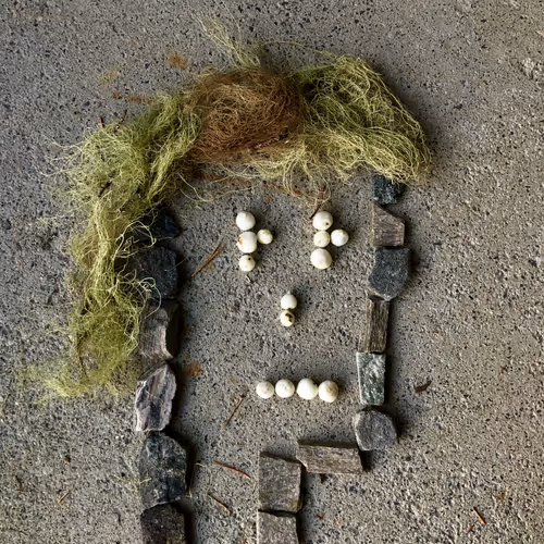 Item #98107617753721193587173935520703534334244090805083319737588344850257931141121 Media