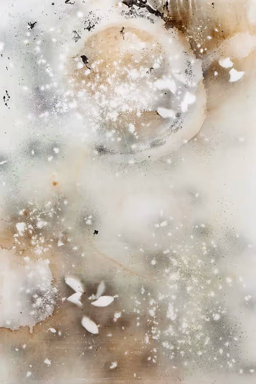 Item #111264774895172989553606282022194155892745764425417346937131400122347647139841 Media