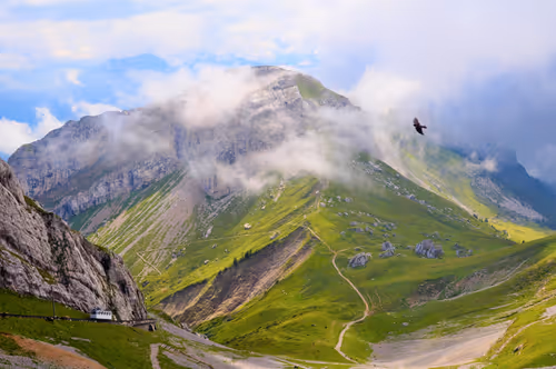 Item #92971587401879212914465603849674525645265351012255145539777938561924232904705 Media