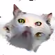 27762507418985323036602337022984145545546635360670304313225186384530959761409