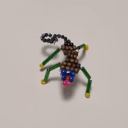 The lizard