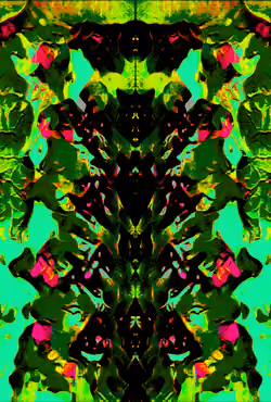 Item Media