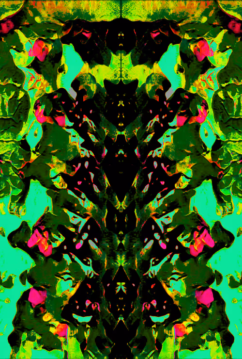 Item #58634798829663089795358456549022693013816106785285099454649778082589091823617 Media