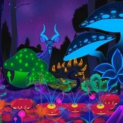 Krypto forest 