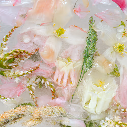 Item #80829721372825377784010953381890255518558028243098186913878117616813502103553 Media