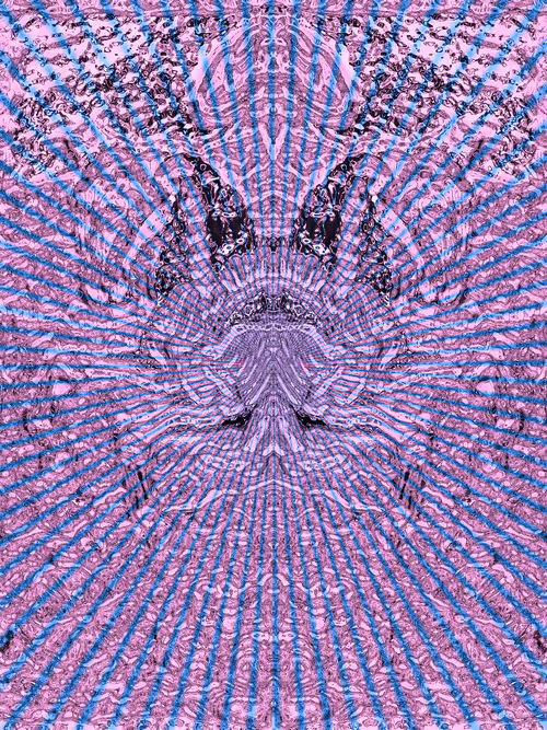 Item #66615337082846715430083206750034599446968111767634792547326129786085160517633 Media