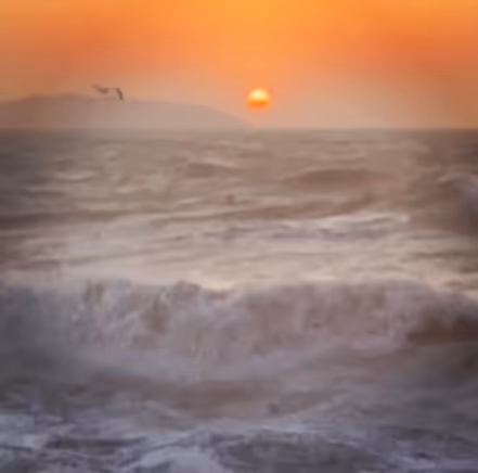 Item #72628252415558791428514865961921146058758816050526771965220226979791204515841 Media