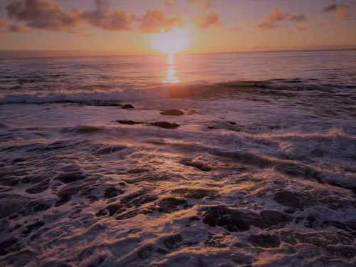 Item #36797478990227503802515544271343238965940869473164843468653790184350765023233 Media