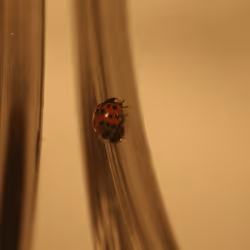 51124555051901614330264480006545612592022390906904121289505624545916050472961