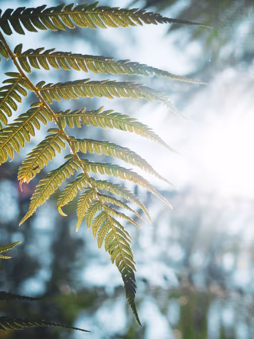 Item #61140817841535323188943582947873458398896939162862574355994582702944623263745 Media