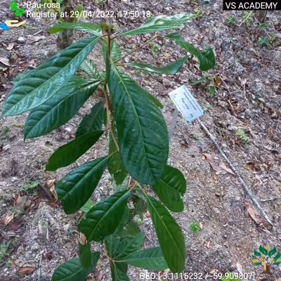 Item #8500196597889277390194123329501889087166328879864934763448348840208988372993 Media