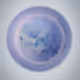Rebirth/Blue