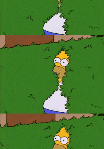 Homer Bush Reversed