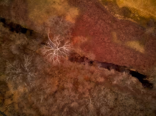 Item #82086394152813496729852745644400301310809698688948886085589871393333078654977 Media