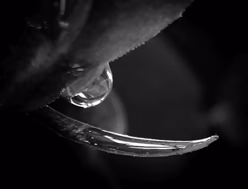 Black, white & drops