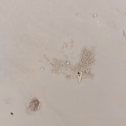 Unique Sands #14