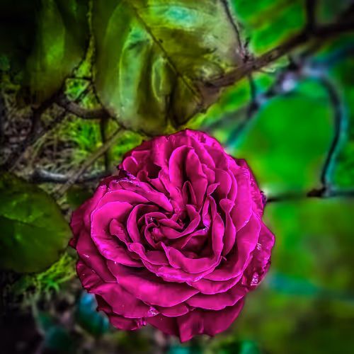 30590749242114448057051430873747331342911239379149562860844022784951943430145