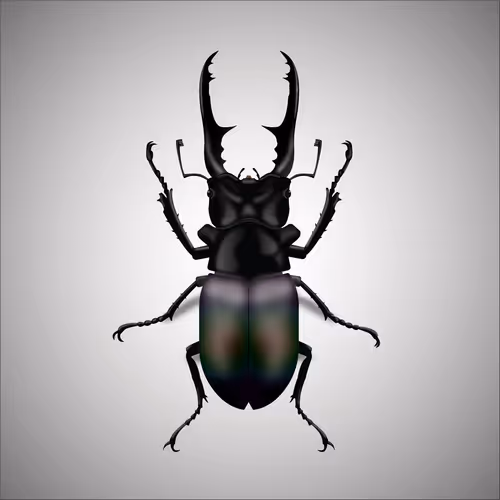 Item #15006194083360452165747859706250248338064014496976576965207408261400713232385 Media