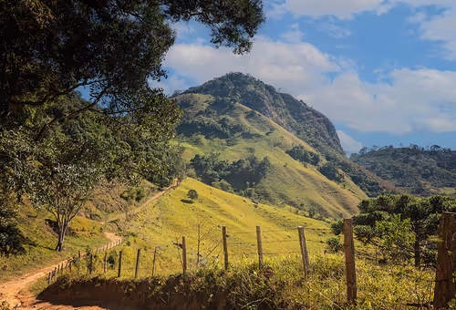 Item #52866533446256947539128955257179026022182065840337043931720506863303249625089 Media