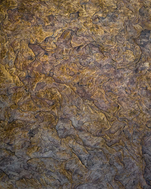 Item #92025450797269199699519638407999947828010124563072321716364901896851560595457 Media