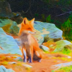 Fox